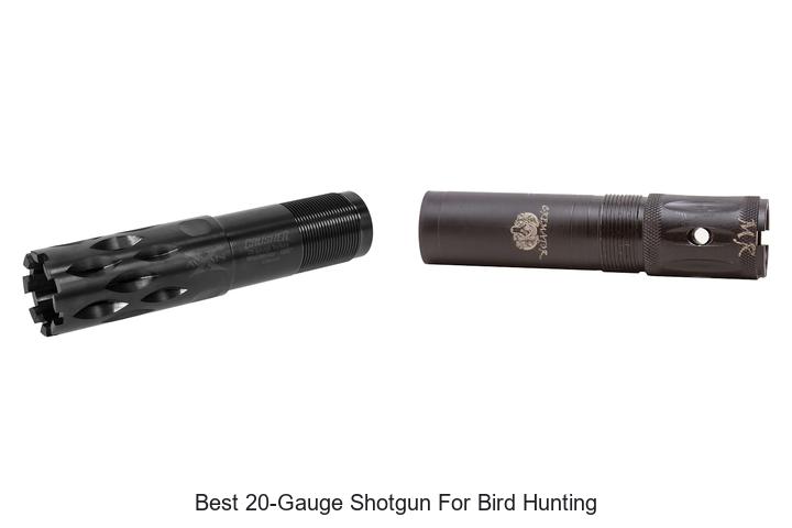 best 20 gauge shotgun for bird hunting