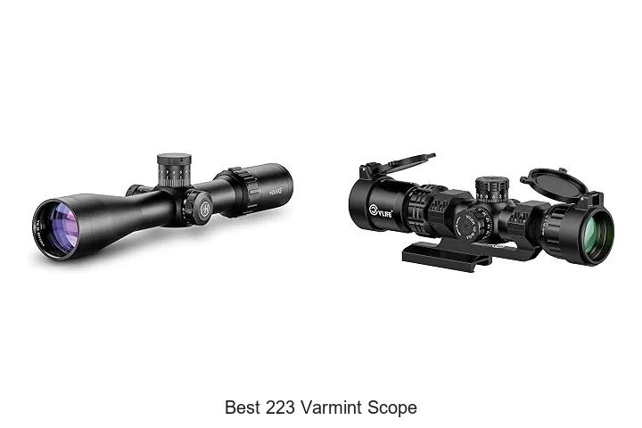 best 223 varmint scope