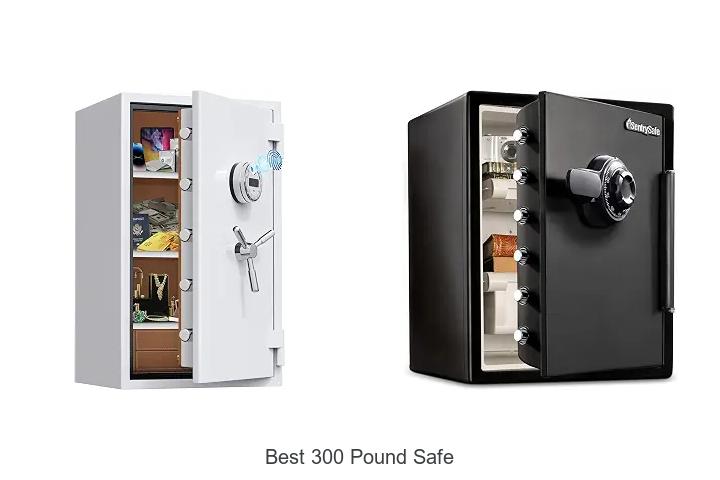 best 300 pound safe