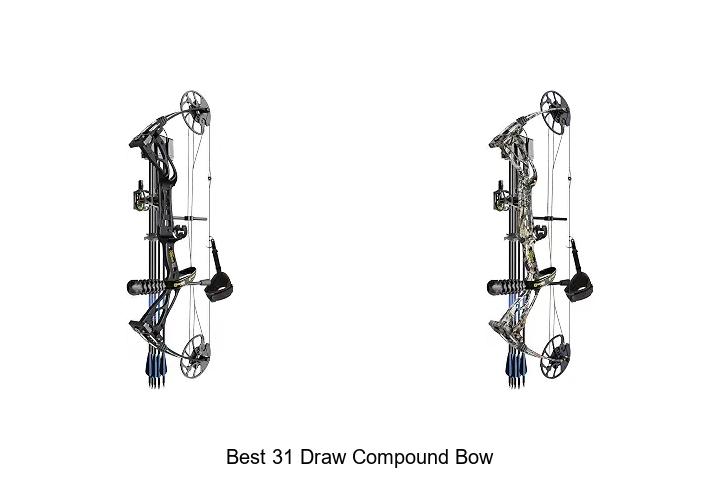 best 31 draw compound bow