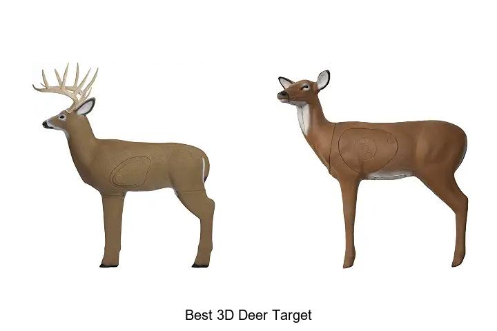 best 3d deer target