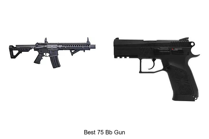 best 75 bb gun