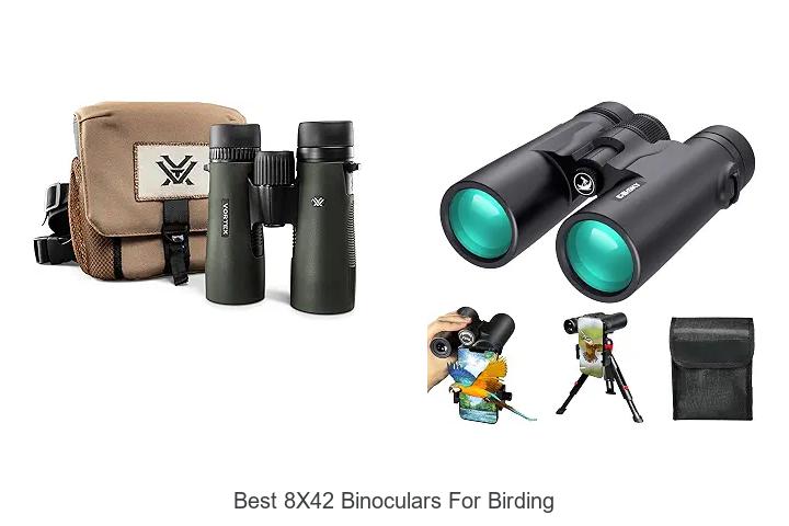 best 8x42 binoculars for birding