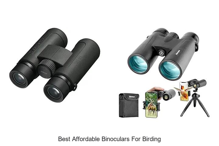 best affordable binoculars for birding