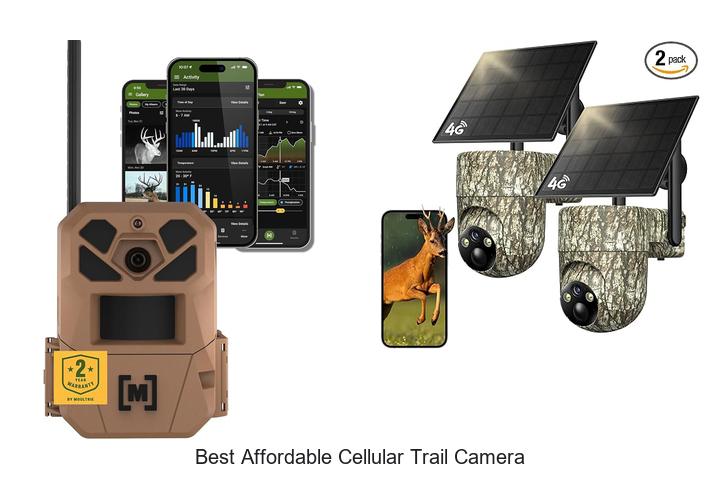 best affordable cellular trail camera