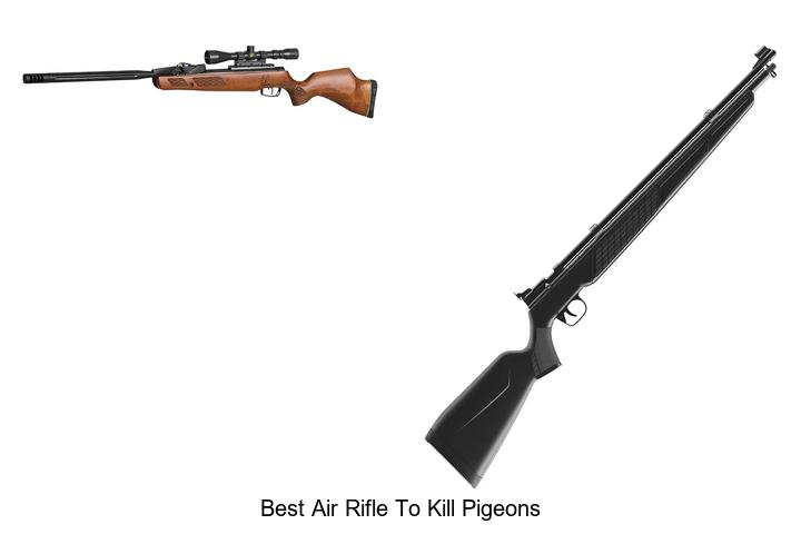 best air rifle to kill pigeons
