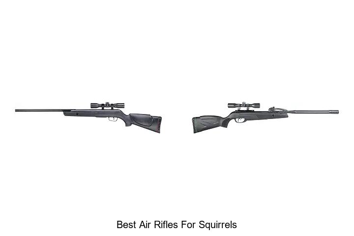 best air rifles for squirrels