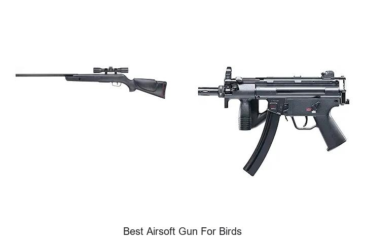 best airsoft gun for birds