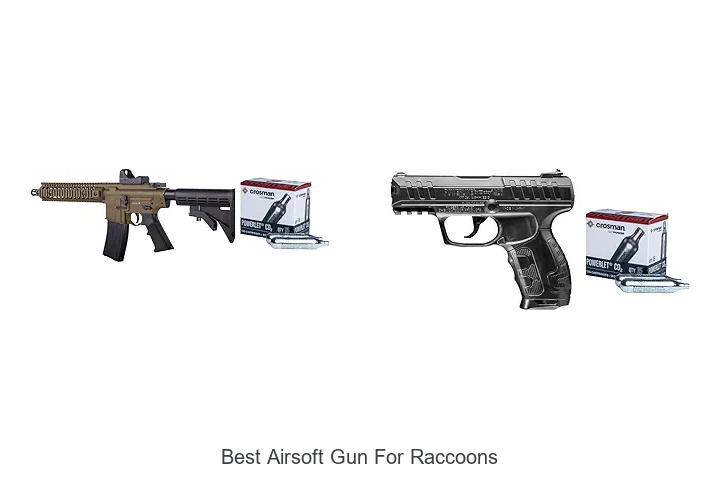 best airsoft gun for raccoons