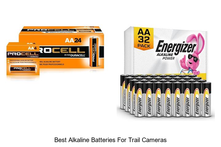 best alkaline batteries for trail cameras