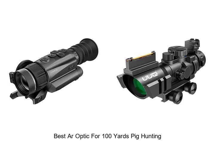best ar optic for 100 yards pig hunting