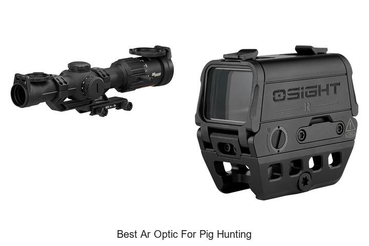 best ar optic for pig hunting