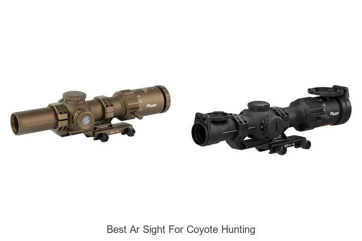 best ar sight for coyote hunting