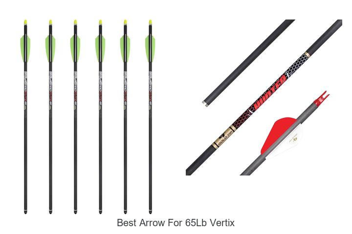 best arrow for 65lb vertix