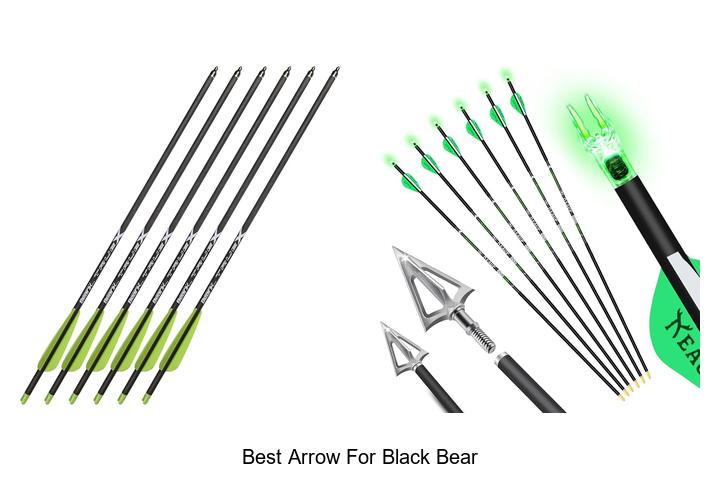 best arrow for black bear