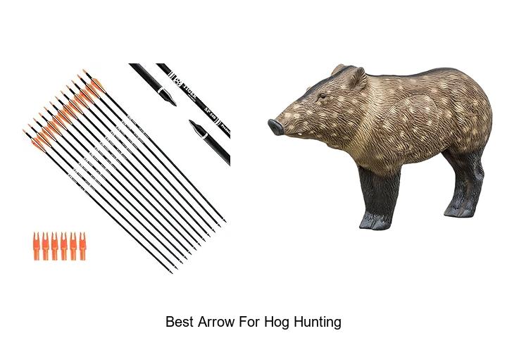 best arrow for hog hunting