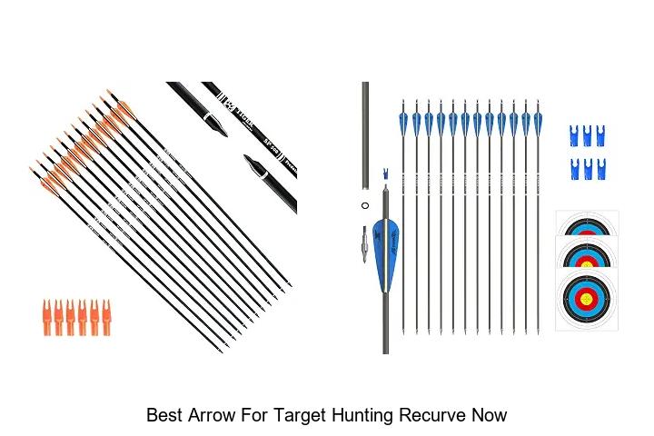 best arrow for target hunting recurve now