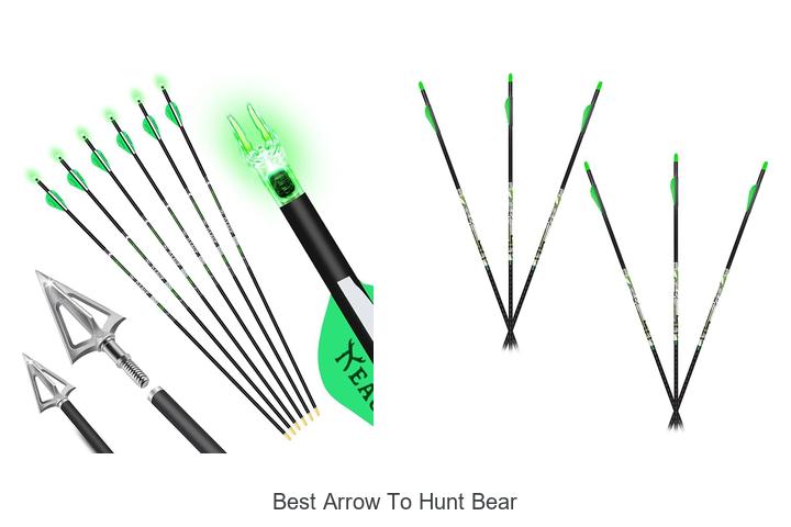 best arrow to hunt bear