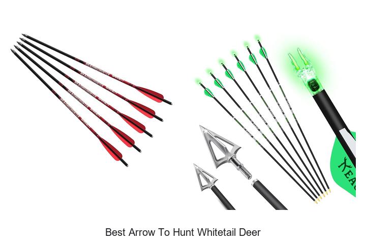 best arrow to hunt whitetail deer