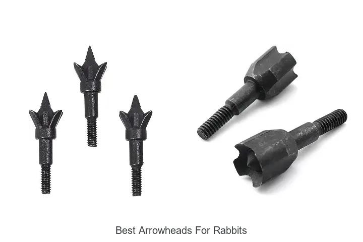 best arrowheads for rabbits