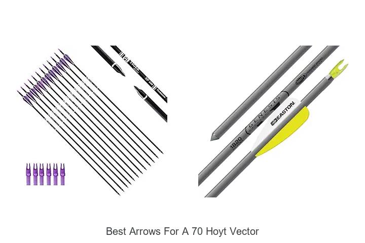 best arrows for a 70 hoyt vector