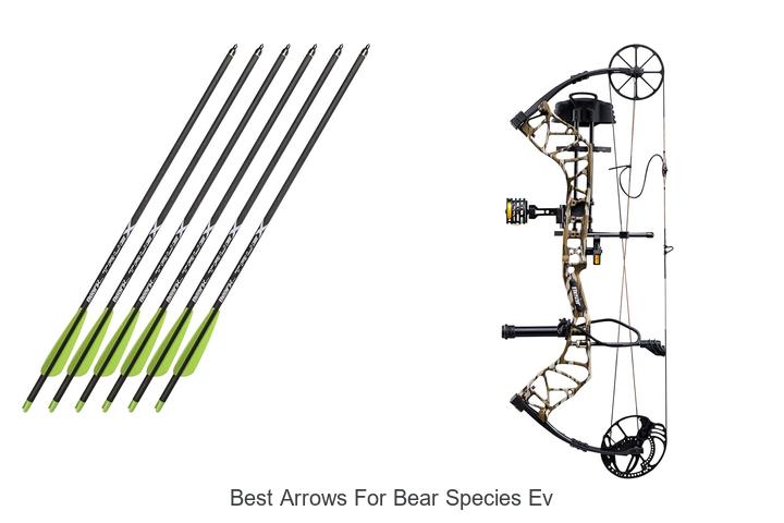 best arrows for bear species ev