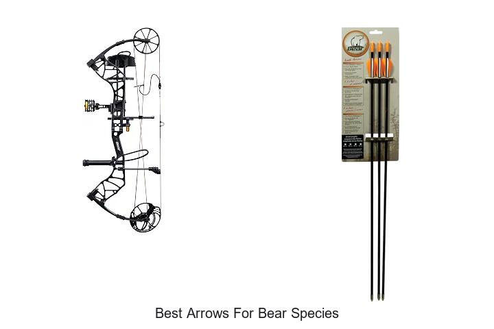 best arrows for bear species