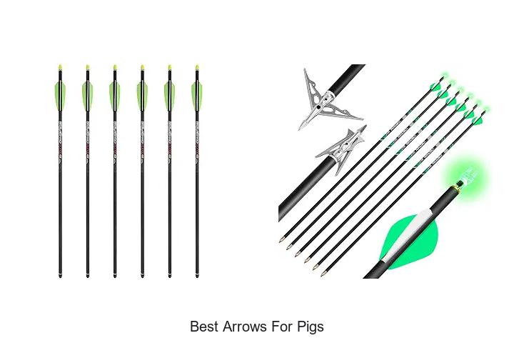 best arrows for pigs