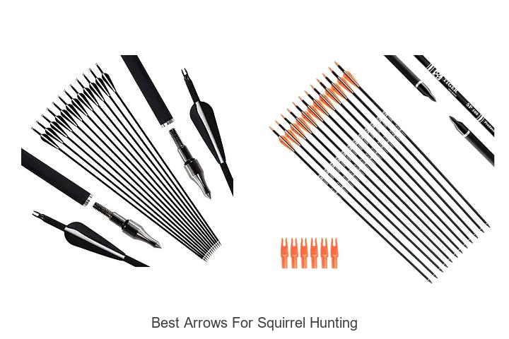 best arrows for squirrel hunting