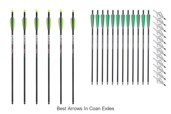 best arrows in coan exiles