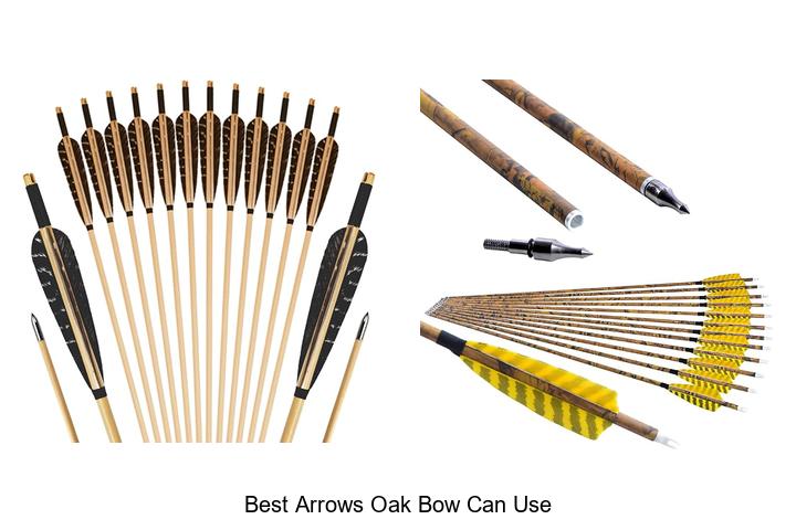 best arrows oak bow can use