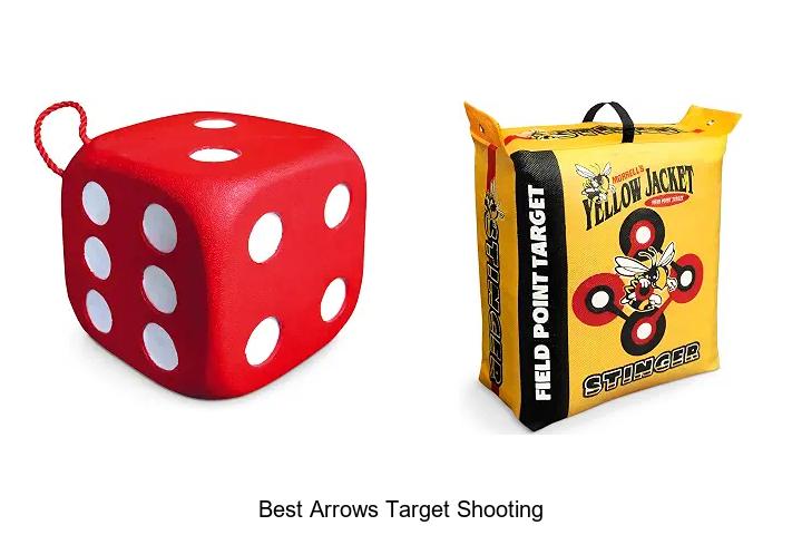 best arrows target shooting