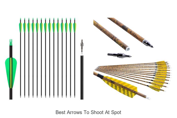 best arrows to shoot at spot