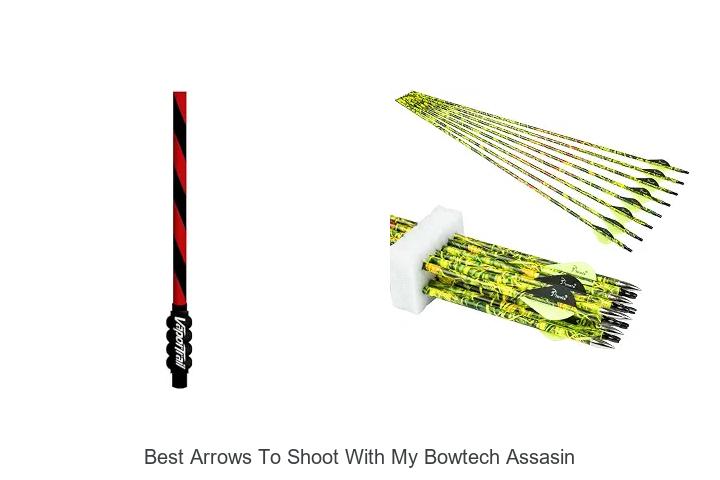 best arrows to shoot with my bowtech assasin