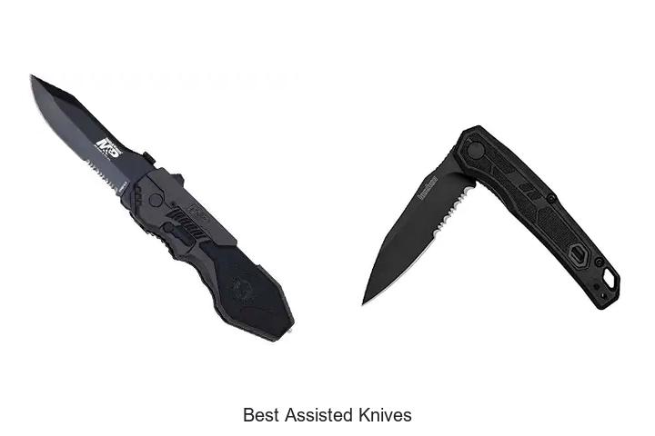 best assisted knives