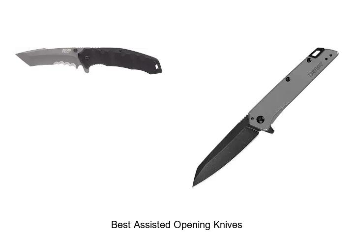 best assisted opening knives