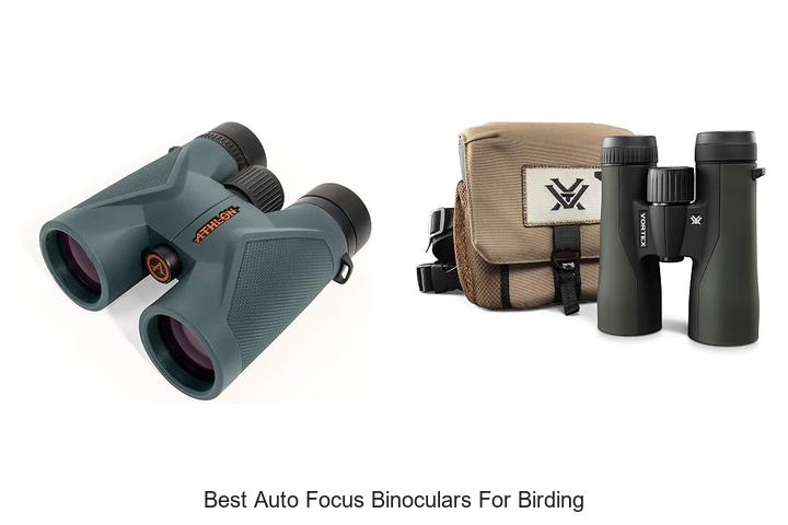 best auto focus binoculars for birding