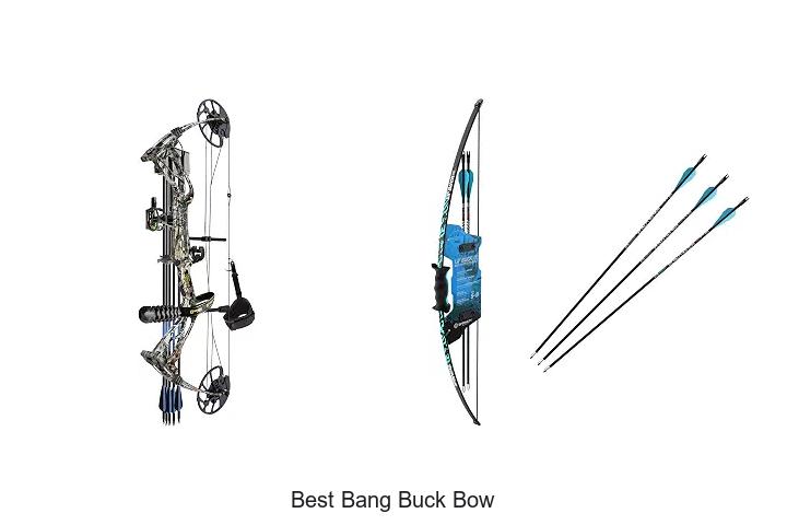 best bang buck bow