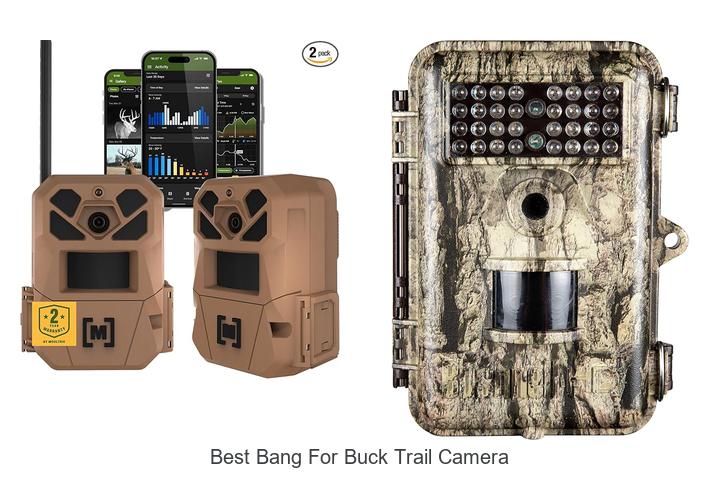 best bang for buck trail camera