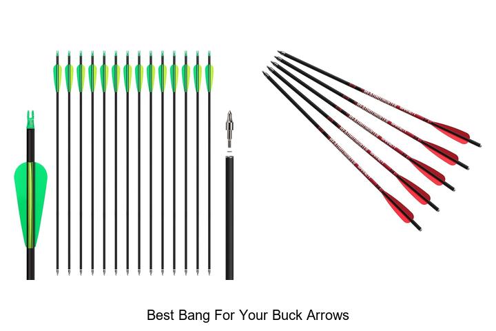 best bang for your buck arrows