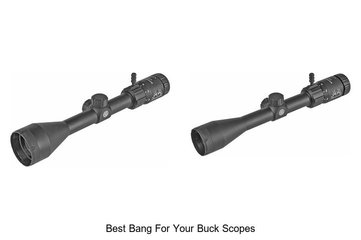 best bang for your buck scopes