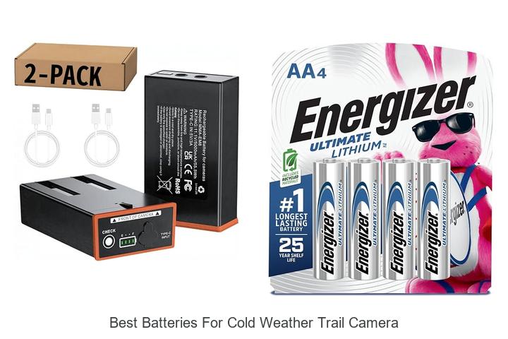 best batteries for cold weather trail camera