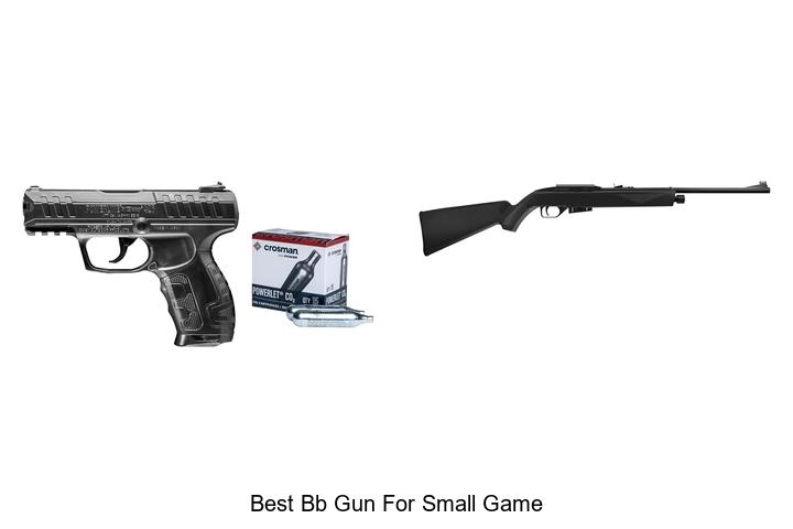 best bb gun for small game