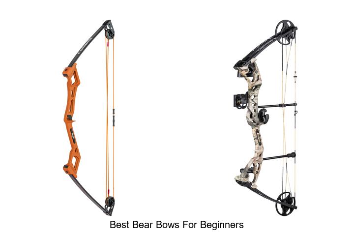 best bear bows for beginners