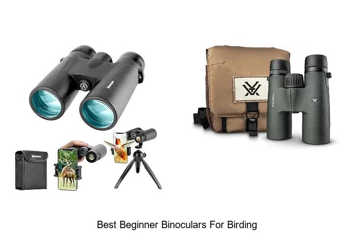 best beginner binoculars for birding