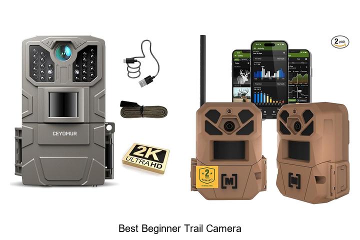 best beginner trail camera