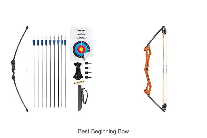 best beginning bow
