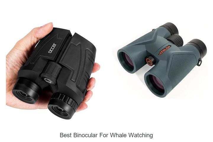 best binocular for whale watching