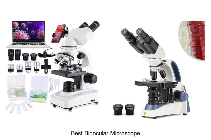 best binocular microscope