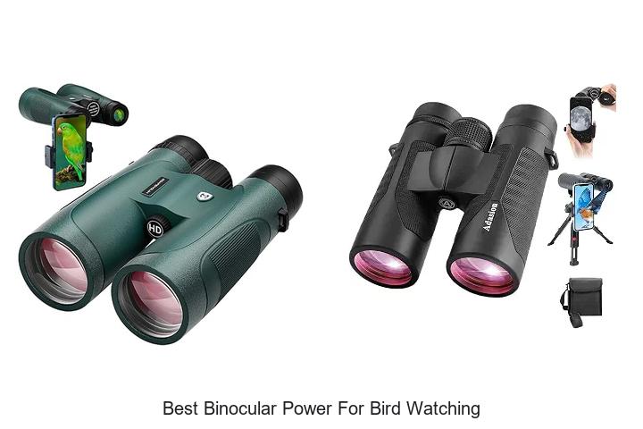 best binocular power for bird watching